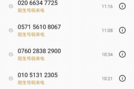 达达利亚讨债PV：揭秘债务追收的神秘世界