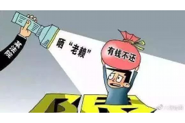 雨城清数公司怎么收费——全面解析收费模式及优势