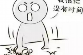 贵南追债公司哪里找？——全方位解析债务追收服务