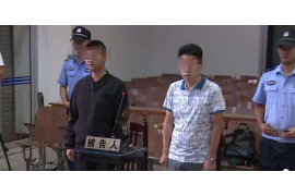 讨债律师费用由谁付合适？法律视角下的费用分担解析
