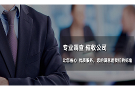 网贷没还遇到催收？了解你的权利与应对策略